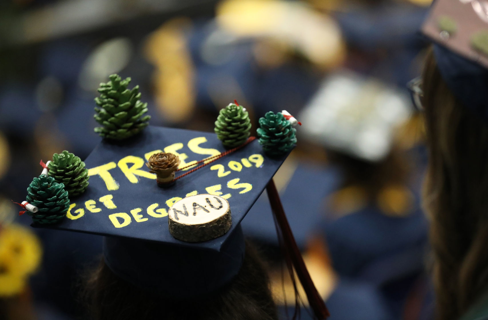 Trees Get Degrees